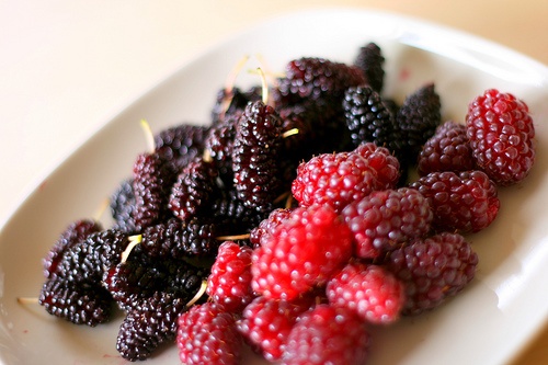 berry picking