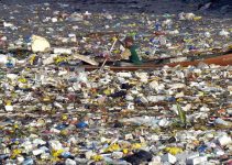 Consumers Need 12-Step Programs Too: My Counseling Session with Mother Earth