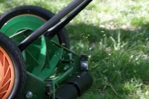 5 Reasons to Switch to a Reel Mower Versus a Gas Mower
