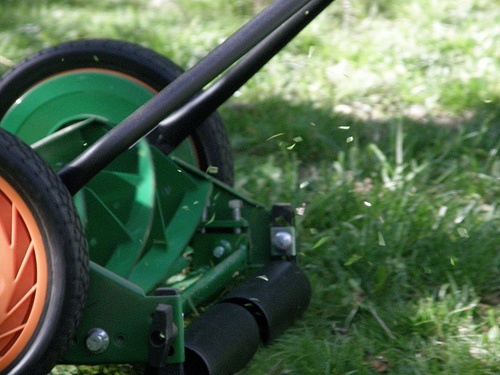 5 Reasons to Switch to a Reel Mower Vs. a Gas Mower (or Electric)